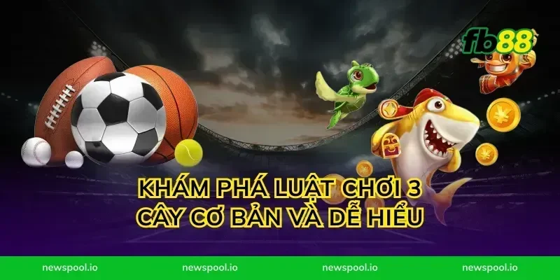 Khám phá luật chơi 3 cây cơ bản và dễ hiểu