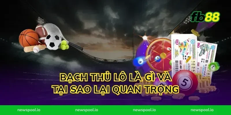 Bạch thủ lô là gì và tại sao lại quan trọng