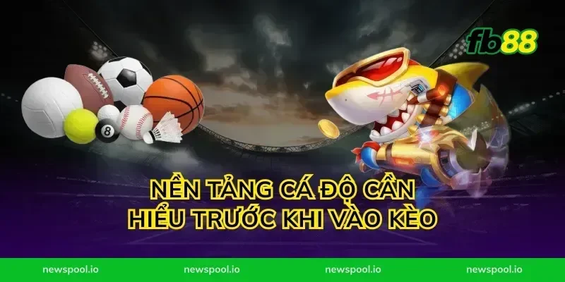 Nền tảng cá độ cần hiểu trước khi vào kèo
