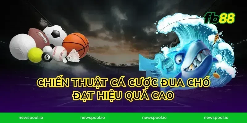 Chiến thuật cá cược đua chó đạt hiệu quả cao