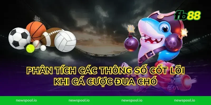 Phân tích các thông số cốt lõi khi cá cược đua chó