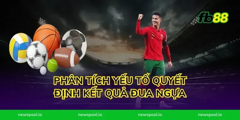 Phân tích yếu tố quyết định kết quả đua ngựa