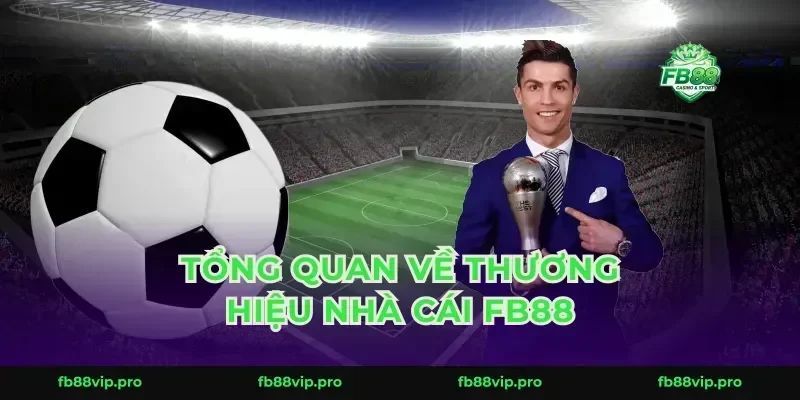 Tổng quan về thương hiệu nhà cái FB88