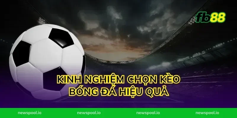 Kinh Nghiệm Chọn Kèo Bóng Đá Hiệu Quả