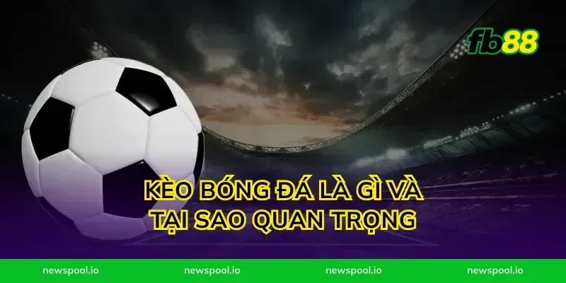Kèo Bóng Đá Là Gì Và Tại Sao Quan Trọng