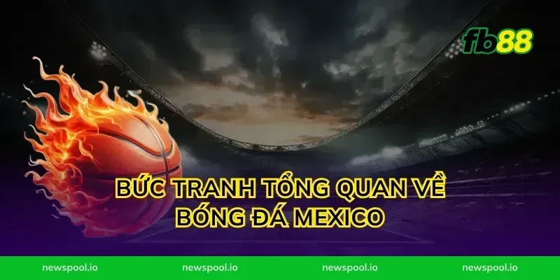 Bức Tranh Tổng Quan Về Bóng Đá Mexico