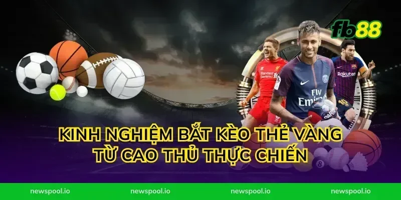 Kinh nghiệm bắt kèo thẻ vàng từ cao thủ thực chiến